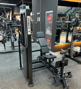 Máquina <span class=keywords><strong>de</strong></span> Dips Sentado <span class=keywords><strong>con</strong></span> Peso Cargado Cybexs, Equipo <span class=keywords><strong>de</strong></span> Gimnasio Future Strength Power X Pulead - Product Image 4