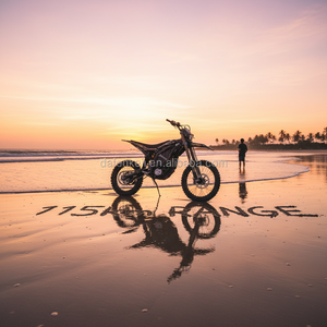 Motocicleta de Motocross de Alta Velocidad Ultra T 25, 0-70 km/h, 3.1 s, 115 km de Autonomía, Bicicleta Eléctrica para Carreras de Adultos - Product Image 3