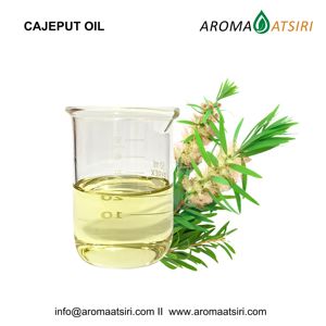 Aceite Esencial de Cajeput Natural Premium de Indonesia Aroma Atsiri (ACEITE DE CAJEPUT) con Aroma Fresco a Menta y Alcanfor, Destilado de Tallo - Product Image 2