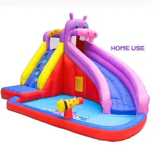 Home Use Cheap Kids Hippo Outdoor Inflatable Water Slide for Sale China