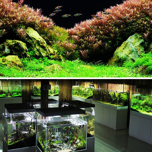 Bán Hot sống hồ cá nhà máy màu đen hữu cơ hồ cá đất - Product Image 6