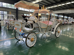 HengYiSheng Carrosse Électrique Citrouille Royale - Utilisation Mariages et Parcs d'Attractions Origine Henan - Product Image 5