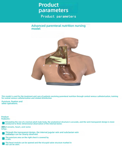 Manekin pengajaran medis canggih untuk Model anatomi perawatan nutrisi Parenteral untuk latihan injeksi dalam simulasi perawatan - Product Image 3