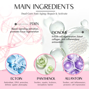 Crème Visage <span class=keywords><strong>M</strong></span> PDRN Exos Hydratante et Lissante, Crème Visage au DNA de Saumon et Ectoïne, Hydratant Raffermissant PDRN <span class=keywords><strong>Exo</strong></span> OEM - Product Image 3
