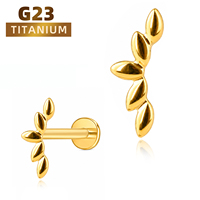 ASTM F136 Implantatqualität Titan Zirkon 14K Vergoldet Innengewinde Labret Helix Tragus Lippen Piercing