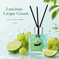 Lot de diffuseurs à bâtonnets 50 ml sans flamme pour la maison, parfum d'intérieur, aromathérapie, avec bâtonnets, parfum personnalisé OEM
