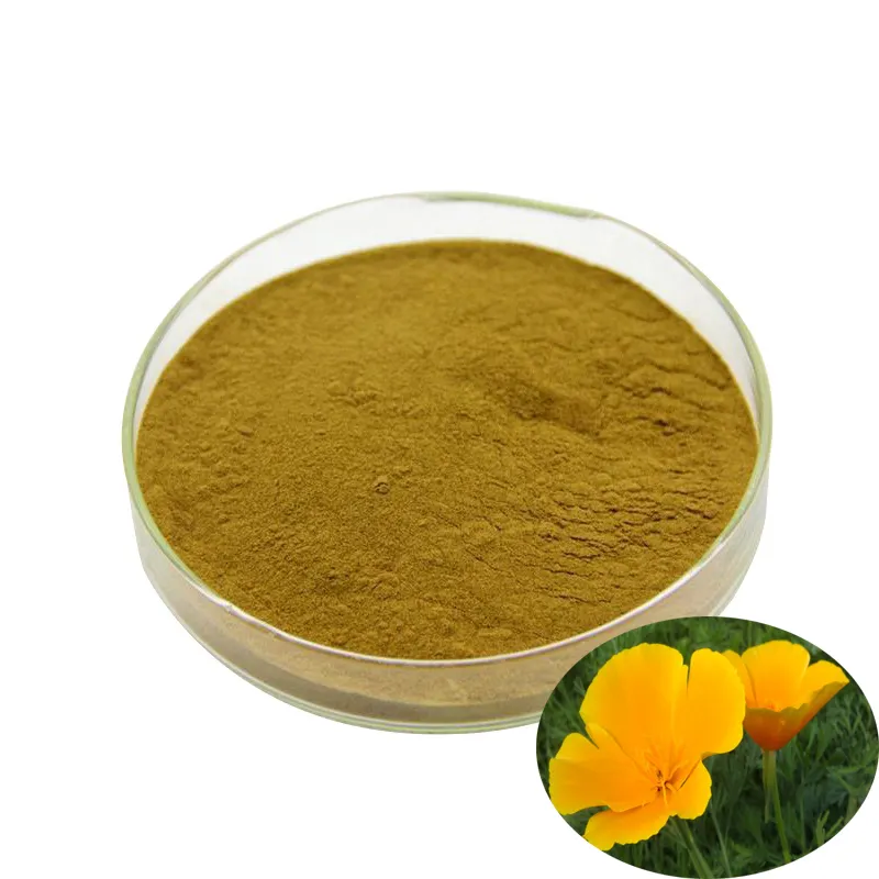 Levering California Papaver Extract Eschscholzia Californica Extract Poeder