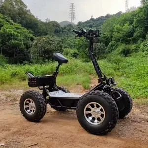 60V 8000W 10000W Điện Quad ATV 4x4 xe đạp 21inch off road tốc độ cao 50kh 50Ah bốn 4 bánh ATV điện ATVs cho người lớn