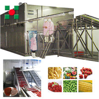 Congélateur IQF fluidisé à haute efficacité/système de congélation rapide-équipement industriel de congélation rapide pour les lignes de fruits et légumes
