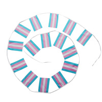 Drapeau arc-en-ciel de la fierté LGBTQ+ en gros, nouveau, élaboré, pour la fierté gay, lesbienne, pansexuelle et bisexuelle