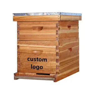 Langsstroth-Equipo de apicultura dadant, caja de 10 marcos de abejas recubiertas de cera de abeja para casa de hotel, colmenas de flujo, caja de colmena