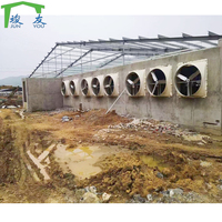 Bâtiment en structure d'acier galvanisé à chaud, poutres en H laminées à chaud, panneaux isolés, poulailler préfabriqué pour élevage avicole