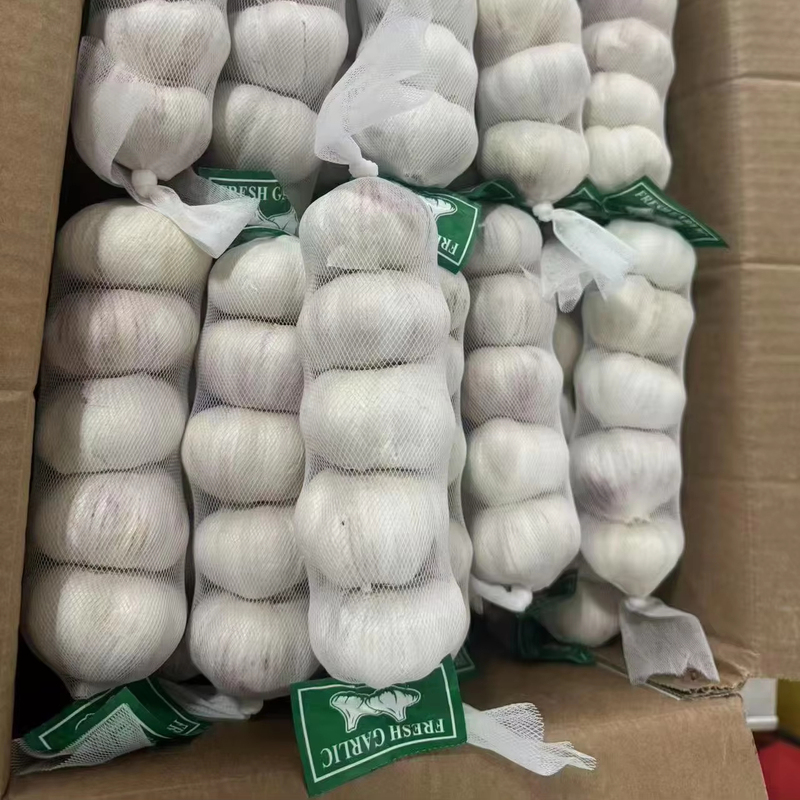 Buy Dehydrated Fresh Single Garlic China