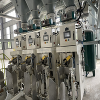 Machine automatique de remplissage, scellage et emballage de poudre de mortier sec en sachets verticaux 10-50 kg, à économie d'énergie, PLC, haute précision, pour produits chimiques