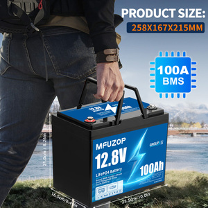EU USA在庫発送 <span class=keywords><strong>12V</strong></span> 100Ah LiFePO4バッテリー リチウムバッテリー 内蔵100AスマートBMS、RV、キャンプ、釣り用 DATOUBOSS - Product Image 5