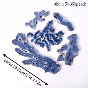 Nueva llegada: Lámina de coral azul pulida a mano, piedra de cristal de gema natural, espécimen mineral. - Product Image 2