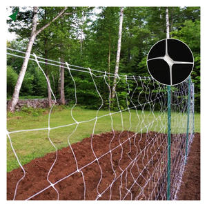 Filet de treillis 100 % PP <span class=keywords><strong>vierge</strong></span> 8 g/m² 10 g/m² pour la culture de fleurs et de végétaux grimpants - Product Image 5