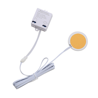 Interruptor Táctil LED de Alta Tensión CA 85V-265V para Tablero de Madera, 3A, Clasificación IP22, 60W/120W, Interruptor de Superficie Oculto para Muebles Inteligentes