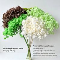 Penjualan Pabrik Baru 2026 Bunga Hydrangea Anna Kualitas Bagus Asli Kering Awet untuk Dekorasi Pernikahan