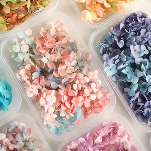 Flores Secas Preservadas para Boda, Hortensia <span class=keywords><strong>Annabelle</strong></span> - Product Image 3