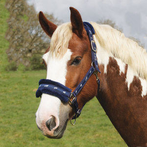 Offre spéciale, vente en gros, confortable, doux, magnifiquement rembourré, bandeau et couvre-chef, licou de cheval avec corde - Product Image 6