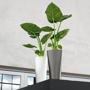 Florero grande ecológico para interior, Macetas de plástico con forma <span class=keywords><strong>triangular</strong></span> de Hotel de lujo, para sala de estar - Product Image 1