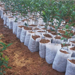 Bolsa de Cultivo <span class=keywords><strong>Desechable</strong></span>, No Tejida, Ecológica, Biodegradable, para Semilleros, <span class=keywords><strong>Maceta</strong></span> para Cultivo de Plantas - Product Image 4