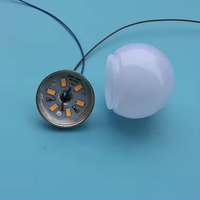 Ampoule de Source de lumière LED ponctuelle personnalisée en usine 3000K-6500K DC5V 12V artisanat décoration lumière et miroir ampoule 35mm 45mm 50mm