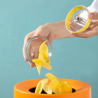Outils de cuisine les plus vendus Éplucheur de stockage créatif Éplucheur de fruits et légumes en acier inoxydable