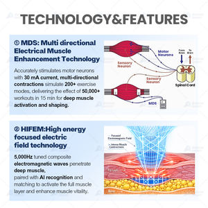 Appareil de beauté pour la réparation du rectus abdominale, récupération post-grossesse dans les cliniques de beauté - Product Image 3