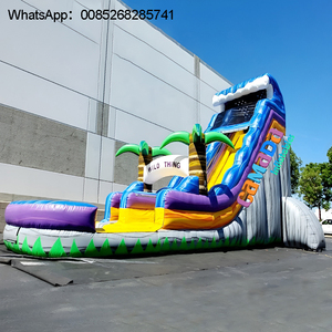 18 pies 20 pies 22 pies personalizar comercial PVC palmera inflable húmedo seco toboganes para niños y adultos con diseño libre - Product Image 4