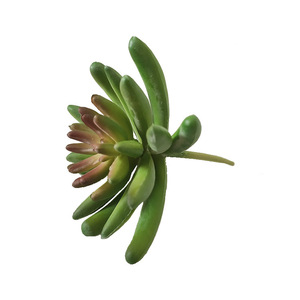 Planta Artificial de Simulación de <span class=keywords><strong>Suculenta</strong></span> de 11 cm, Duradera, Ecológica, de Alta Simulación, Planta de Plátano, Hermosa Decoración Floral - Product Image 4