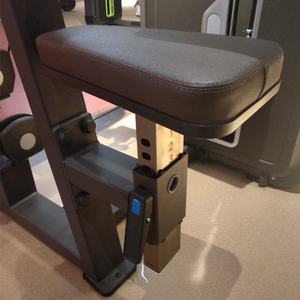 Pin de entrenamiento para ejercicio, nuevo diseño, venta al por mayor, equipo de gimnasio comercial, <span class=keywords><strong>Delt</strong></span> Pearl, precio de fábrica para fitness club - Product Image 5