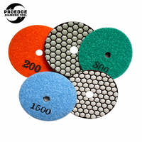 Tampons de polissage diamantés à sec de 5 pouces avec design le plus vendu pour polisseuse manuelle