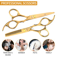 Ciseaux de coiffure professionnels en acier inoxydable pour droitiers, série Gold, 6,5 pouces, pour salon de coiffure
