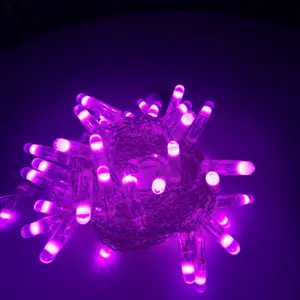 Holiday Decoration Lighting 360 Luminous Angle ip65 3W 6W PVC Copper Wire LED String