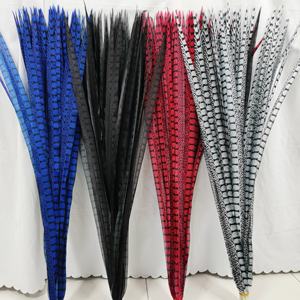 Plumes artificielles de faisan Amherst de 100 cm en gros pour sacs à dos de carnaval, samba et décorations de costumes de festival - Product Image 1