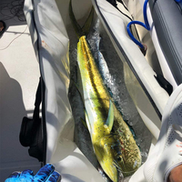 Sacs de pêche isolés en gros, sacoches de pêche en mousse EVA épaisse, sac de pêche isolé