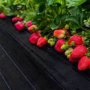 Toile de paillage tissée imperméable perforée pour <span class=keywords><strong>plantes</strong></span> horticoles, myrtilles et arbres fruitiers agricoles en HDPE - Product Image 3