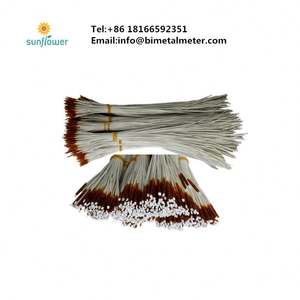 جزء لا يتجزأ من محرك rtd pt100 الموالي لف rtd - Product Image 2