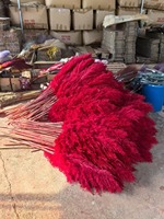 Bunga Kering Berkualitas Tinggi J-01091 Bunga Artificial Pampa 30cm Pampas 100cm Pampas Dekorasi Pernikahan