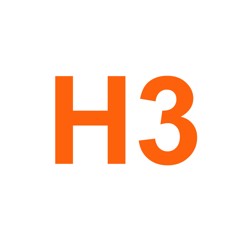 H3