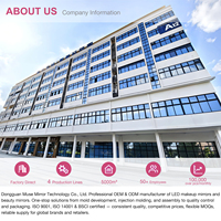 Penjualan Panas Cermin Rias Sun Visor 3 Lampu Dapat Diredupkan Fungsi Memori Tipis HD untuk Kebanyakan Kendaraan Penggunaan Malam Hari Perjalanan