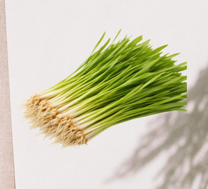 TW Hordeum Vulgare Sprout PDRN 100 ppm Plant Derived Polynucleotide <b>Extract</b> High Purity Cosmetic Raw Material - Product Image 3