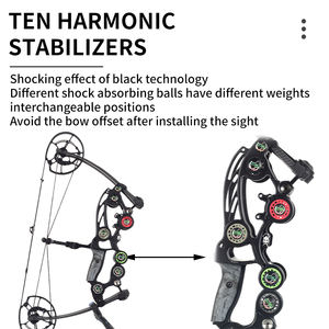 Bola <span class=keywords><strong>de</strong></span> acero para tiro con <span class=keywords><strong>arco</strong></span>, <span class=keywords><strong>arco</strong></span> compuesto <span class=keywords><strong>de</strong></span> doble propósito y juego <span class=keywords><strong>de</strong></span> flechas, manos izquierda y derecha, tiro <span class=keywords><strong>de</strong></span> <span class=keywords><strong>caza</strong></span> al aire libre, <span class=keywords><strong>arco</strong></span> <span class=keywords><strong>de</strong></span> polea compuesto - Product Image 6