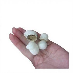 Coton cocon de soie doux et durable pour les vêtements haut de gamme - Product Image 1