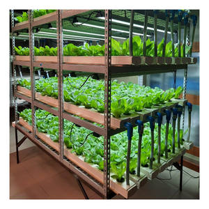 Sistema <span class=keywords><strong>de</strong></span> cultivo <span class=keywords><strong>de</strong></span> jardín <span class=keywords><strong>de</strong></span> hierbas para interiores hidropónico con función <span class=keywords><strong>de</strong></span> temporizador inteligente para sistema <span class=keywords><strong>de</strong></span> granja <span class=keywords><strong>de</strong></span> <span class=keywords><strong>cocina</strong></span> casera - Product Image 4