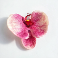 Tête de fleur artificielle en EVA, effet toucher réel, fausse orchidée, décoration de chaussures, ornement floral DIY pour chaussures