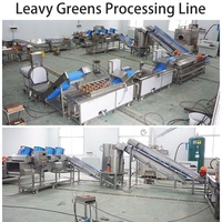 Commerciële machine voor het snijden, wassen en drogen van groenten voor salades, 1000-2000 kg/uur, voor de verwerking van verse snijgroenten in een verwerkingsbedrijf