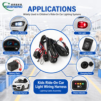 Faisceau de câblage personnalisé pour voiture électrique enfant 6V 12V 24V avec télécommande